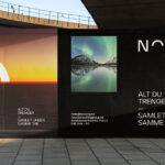 nova-consulting-group-visual-identity.jpg