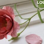 Wood Carving After Nature | Artist Yoshihiro Suda | 須田悦弘