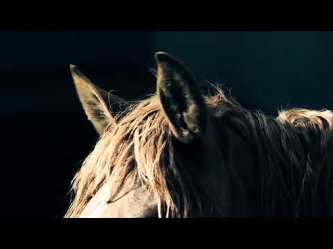 [2011] Ordos Museum | MAD