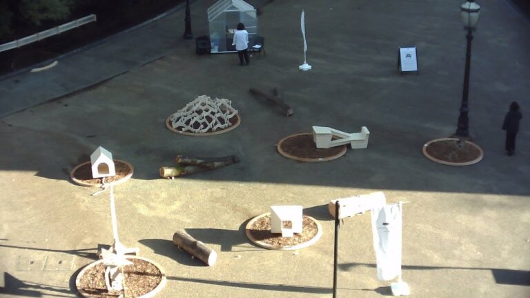 A Playground for Non-Humans | Day 3