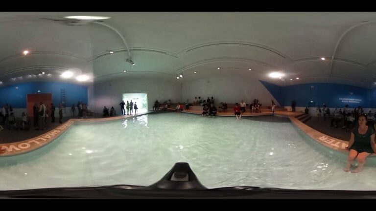 AD 360º: The Pool – Inside Australia’s Pavilion at the 2016 Venice Biennale