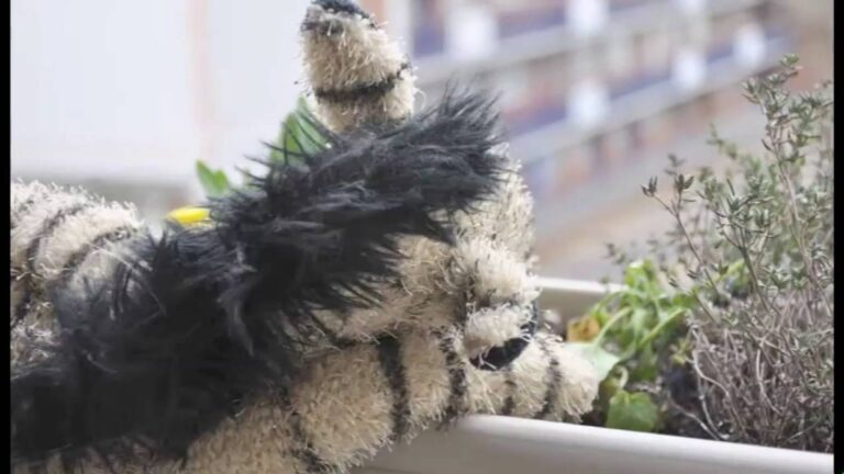 ADVENTURES OF CEDRIC by Lucy Moroney, 2009