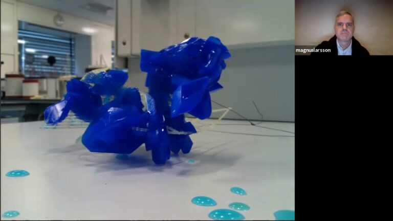 Alumni Advice: Magnus Larsson