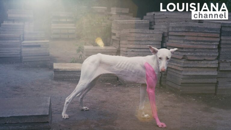 Artist Pierre Huyghe: “I’m not interested in binarity.” | Louisiana Channel