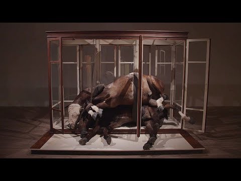 Berlinde De Bruyckere Interview: Surfaces are Containers of the Souls