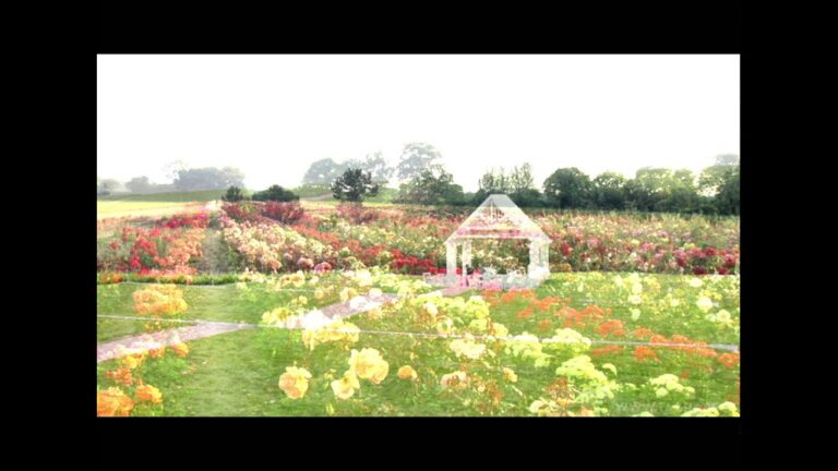 CROSSING MOUNTAINS AND OCEANS