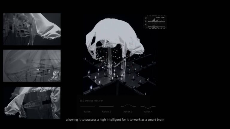 Caduceus Judge of Land