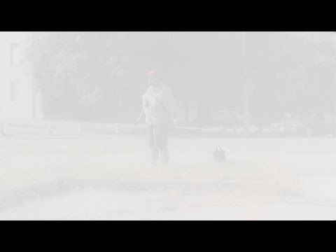 Claudia Rankine on Paul Graham