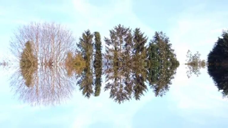 Daydream by   Allister Low, 2015