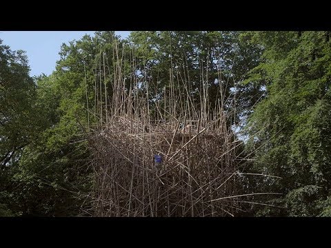 Doug & Mike Starn Interview: The Invisible Architecture of Life