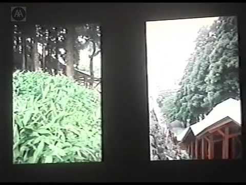 Elas Torres – Recent Works