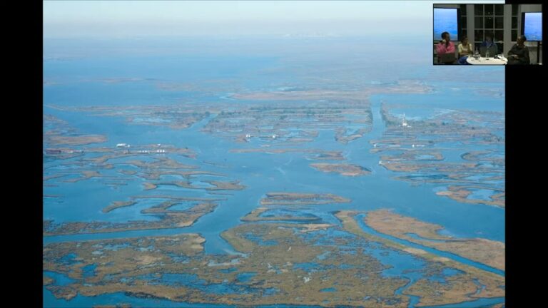 Imagining Otherwise – Imani Jacqueline Brown