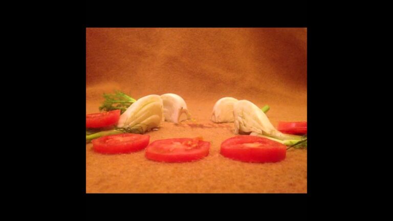 Isabel Castro,  1 minute Animation 2015.