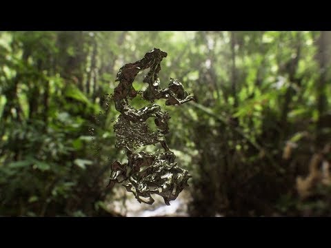 Jakob Kudsk Steensen Interview: Our Middle Existence