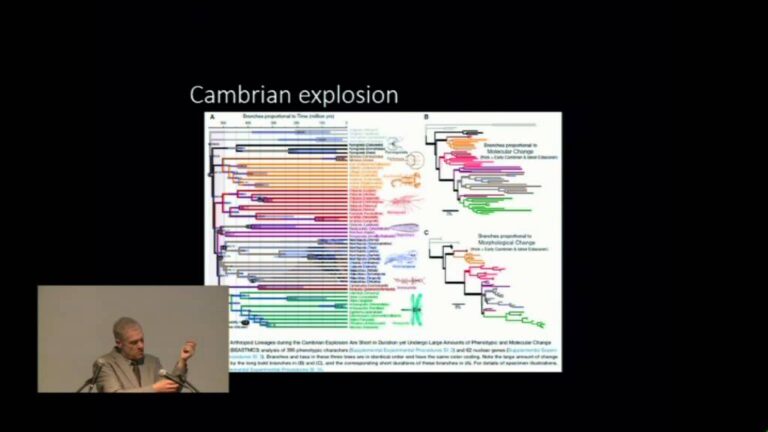 Jeffrey Kipnis – In Praise of Sloth, Indolence and all Other Forms of Torpor