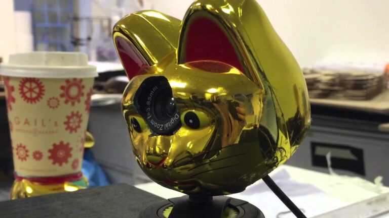 Lord of the Party- Sensorial Environments