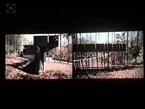 Merril Elam – Work