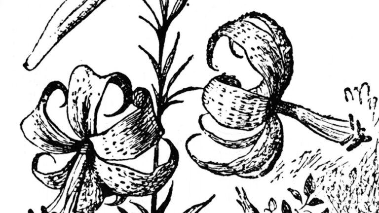 Number Three’s Head is Off (2016), Zachariah Guan Poh Hong