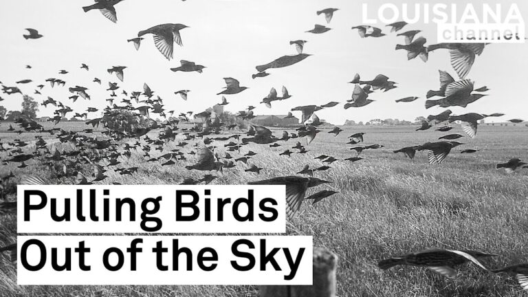 “Photography is about turning things inside out.” | Photographer Stephen Gill | Louisiana Channel