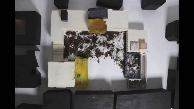 Pompidou Centre Stop Motion