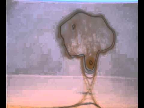 Roman Lovegrove 2010/11 Media Studies