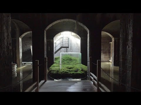 Sambuichi Interview: Building with Sun, Water and Air