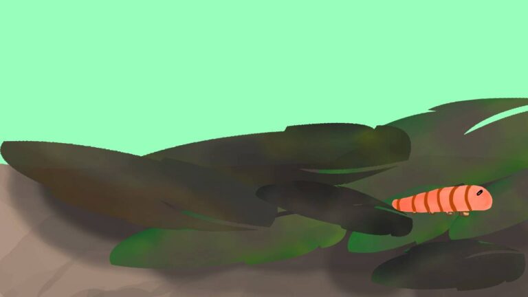 THANAS APILIKITSMAI   FY TERM 1 ANIMATION