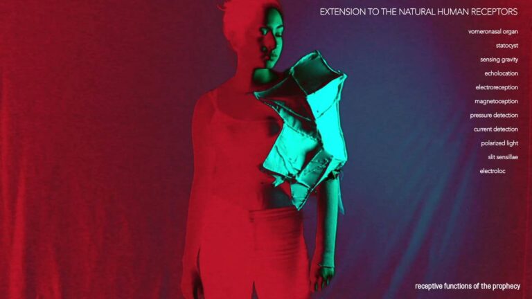 THE PROPHECY MACHINE