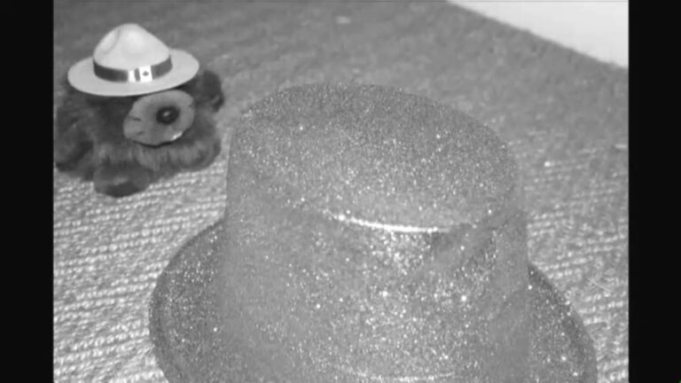 The Escaping Hat by Belinda Diwan, 2009