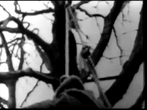 WALMSLY, John Summer Photography by Max Fiedland 1 Title 01