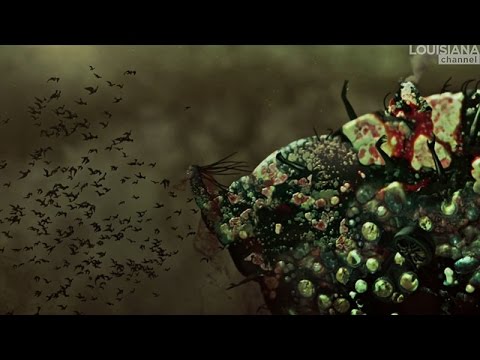 Wangechi Mutu Interview: On the End of eating Everything