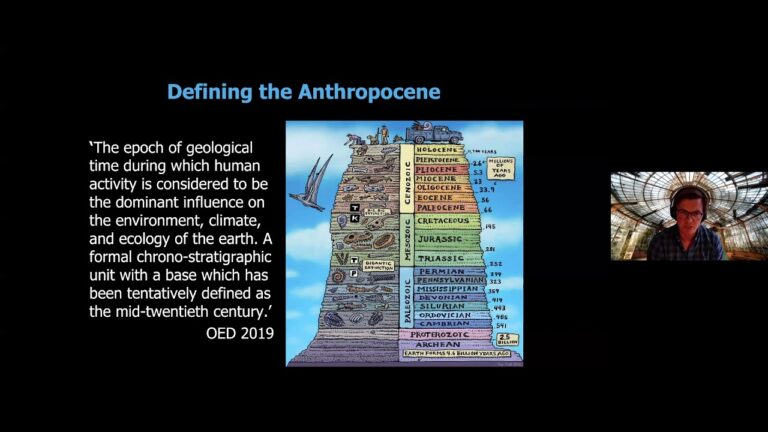 Wild Experiments: Rethinking environmentalism for the Anthropocene