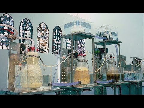 Wim Delvoye: This Shit is Art