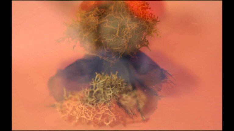 ptsd final (2016 Leticia Dadalto Camara Gomes)