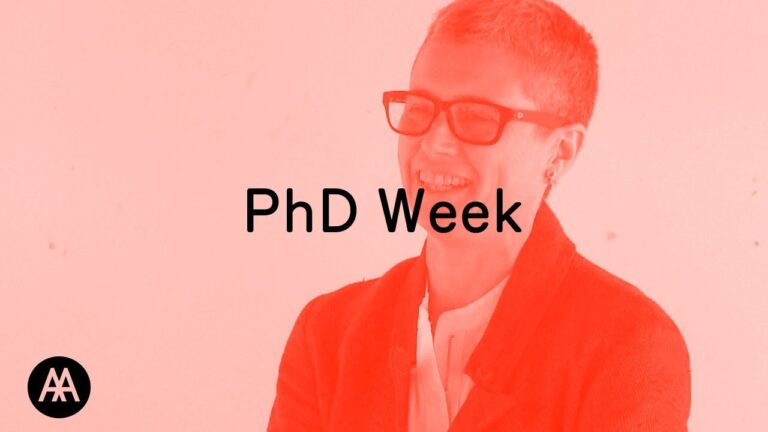 ‘This Thing Called Theory’: Double Crossing – Organised by Doreen Bernath and Teresa Stoppani