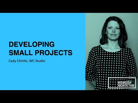 320: Developing Small Projects with Cady Chintis