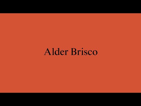 New Architects 4: Alder Brisco