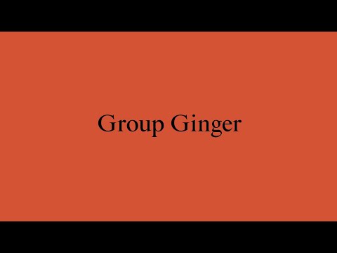 New Architects 4: Group Ginger