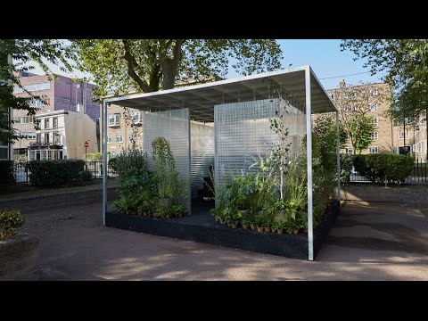 Asif Khan interview: Forests installation for MINI | Architecture | Dezeen