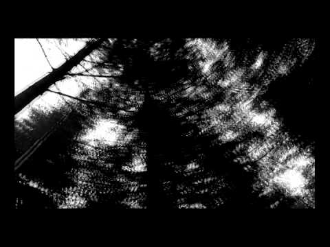 Tales From the WoodsTrailer