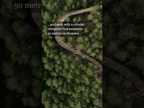 Drone footage captures treetop walkway by studio EFFEKT | #Shorts | Dezeen
