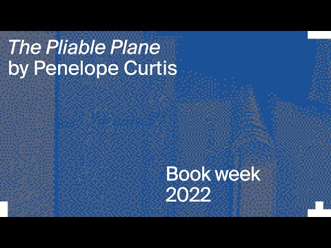 The Pliable Plane: Penelope Curtis