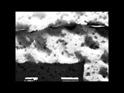 Events. Dresses Facades.