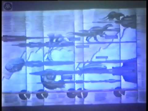 Architecture and Complexity – Part 1 – Charles Jencks