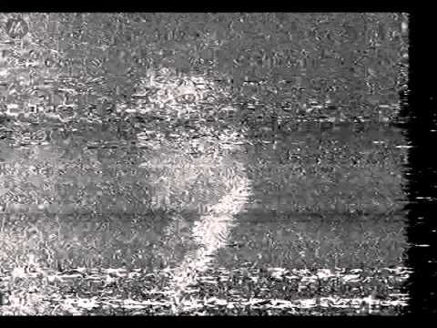 John Habraken – The Limits Of Professionalism