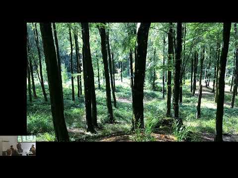 A FOREST LABORATORY – Landscape, Material, Space