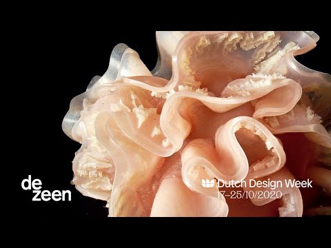 Live talk with Dutch Design Week on privacy and intimacy | Dezeen