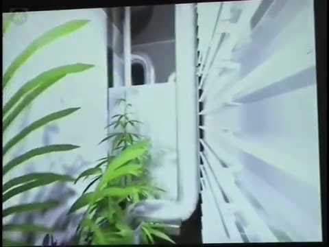 Philippe Rahm – Recent Projects