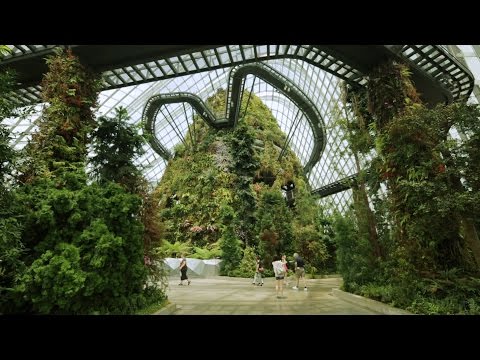 Paul Baker interview: Wilkinson Eyre’s Gardens by the Bay in Singapore | Architecture | Dezeen