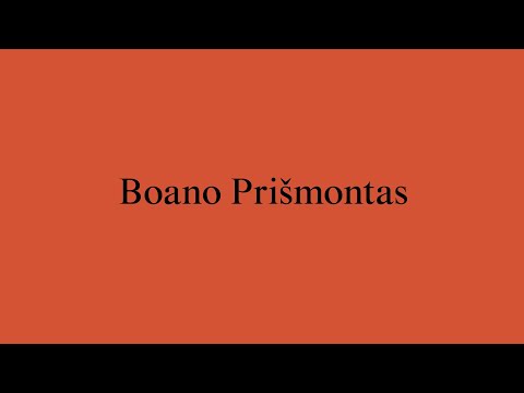 New Architects 4: Boano Prišmontas